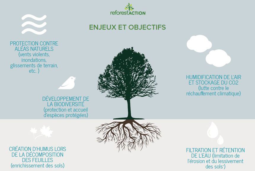 Enjeux et objectifs Reforest'action