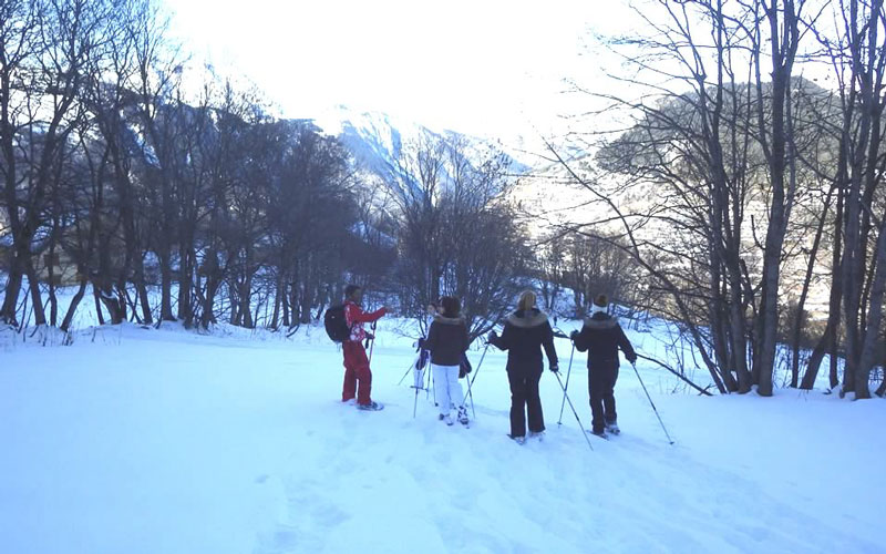 activité randonnée en raquettes avec votre comité d'entreprise